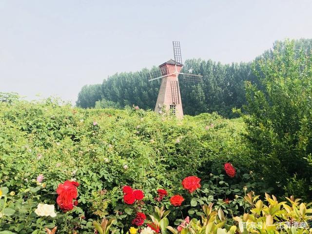 郑州——玫瑰庄园