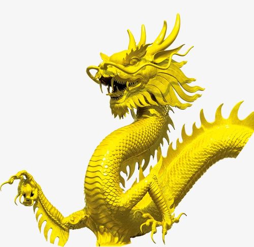 黄金龙  金色龙 中国龙 威武龙