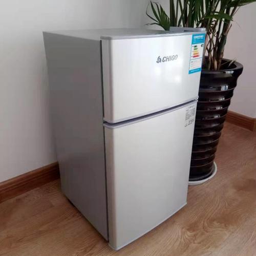 志高小冰箱家用小型租房用宿舍用迷你出租房二人冷藏冷冻节能省电