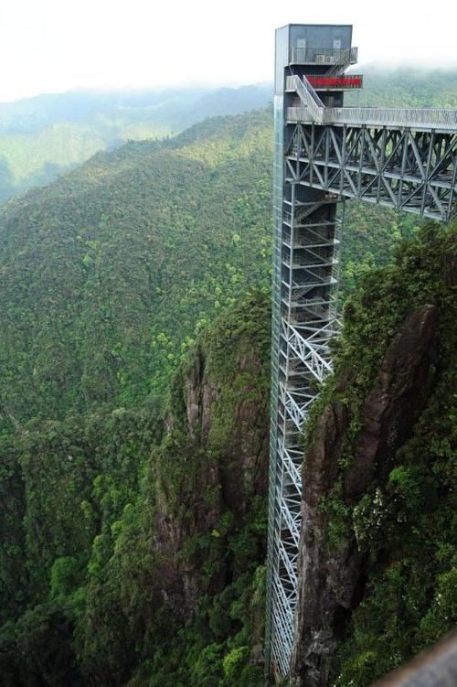 湖南莽山五指峰景区:"轮椅游客"可登高赏景