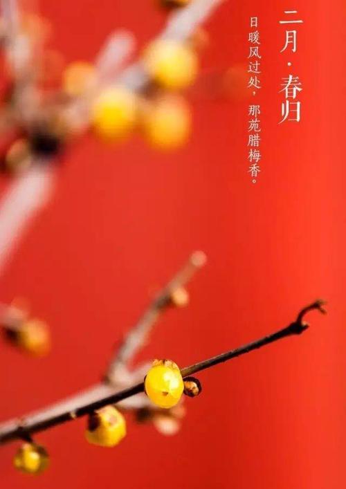 立春| 一年伊始时,世人盼春归