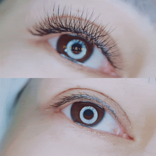 轻盈的三叶草睫毛