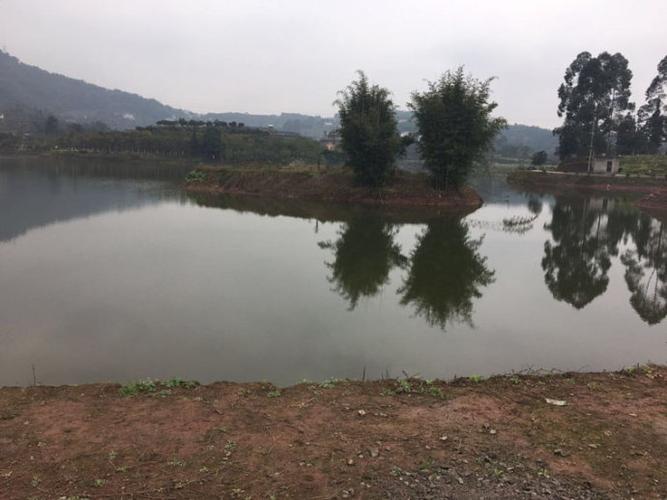 data-lemmaid="894296">高县 /a>沙河镇;北邻高县胜天镇和翠屏区李端