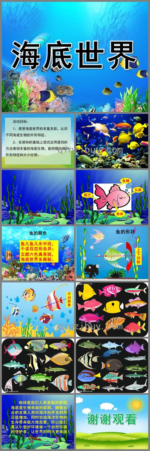 幼儿园ppt课件 中班ppt课件 中班科学ppt课件 :中班美术活动海底世界