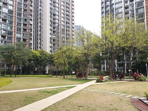 龙湖晶蓝半岛b区,宏济新路485号-成都龙湖晶蓝半岛b区