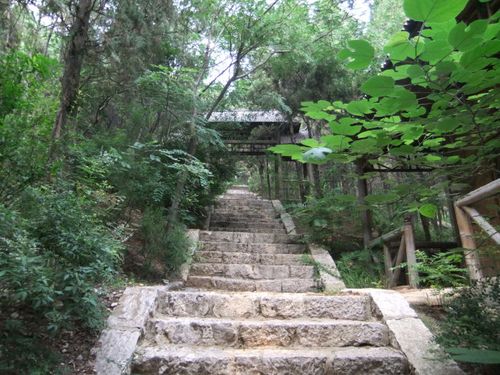 腊山国家森林公园位于东平县东平湖西岸,山清水秀,石险,洞幽