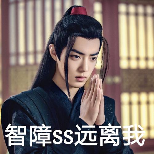 陈情令表情包,肖战陈情令表情包