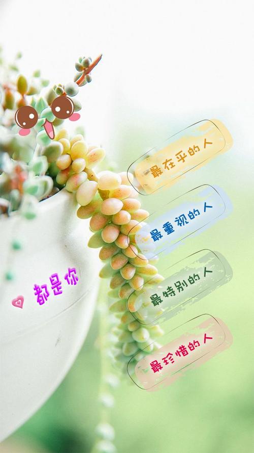 壁纸 锁屏壁纸 文字 治愈系 美图 设计 主题 桌面 唯美 浪漫 多肉