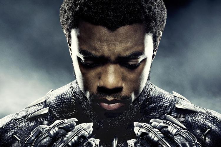 首页 电脑壁纸 漫威电影《黑豹》人物5k 1024_682手机