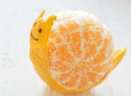 可爱63 6165水果小动物_帖子_oppo手机官方社区