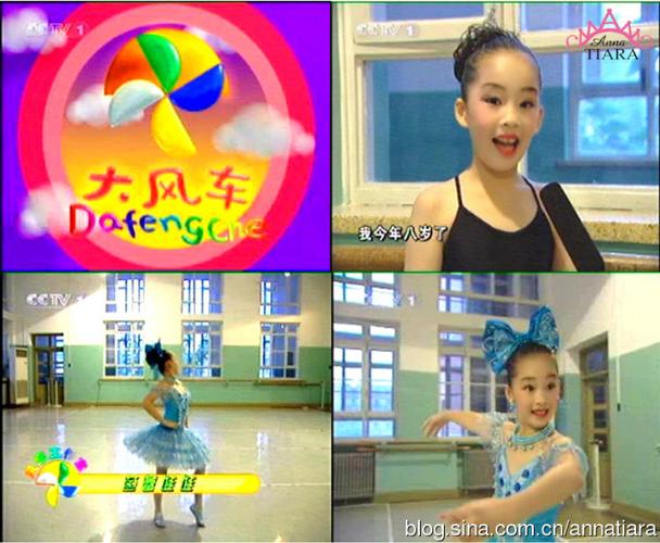 中央电视台《大风车》节目