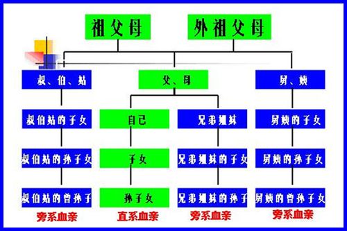 近亲结婚的定义: 近亲(或称亲缘关系)是指三代或三代以内有共同的祖先