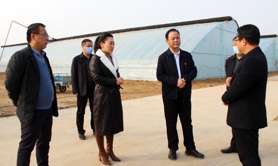 首页 今日舞阳             来源: 中国舞阳网                 信息