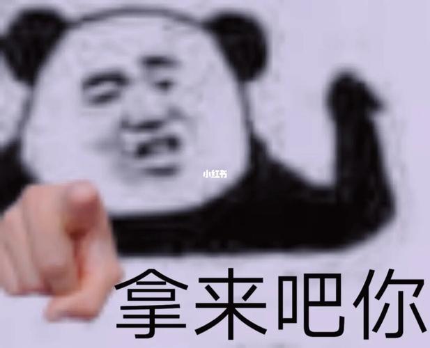 拿来吧你来了～_表情包_素材_表情包