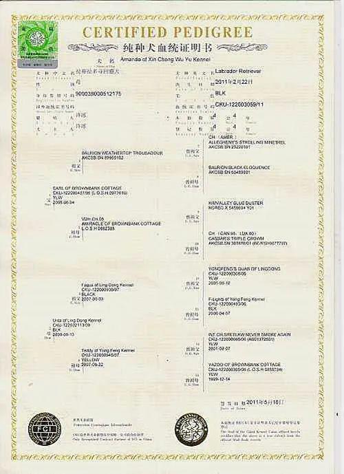 血统证书的演变史真假血统证书第一篇平安之家金毛联盟
