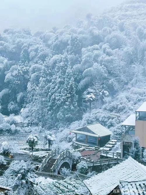 浙江白云山下雪了丽水多地传来雪景太美了