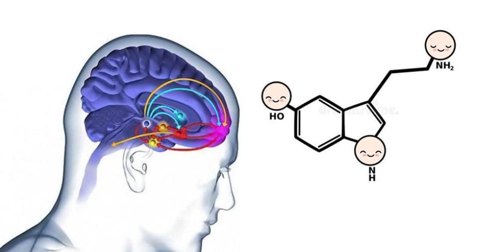 那些认真吃欺骗餐的人,最后都怎么样了