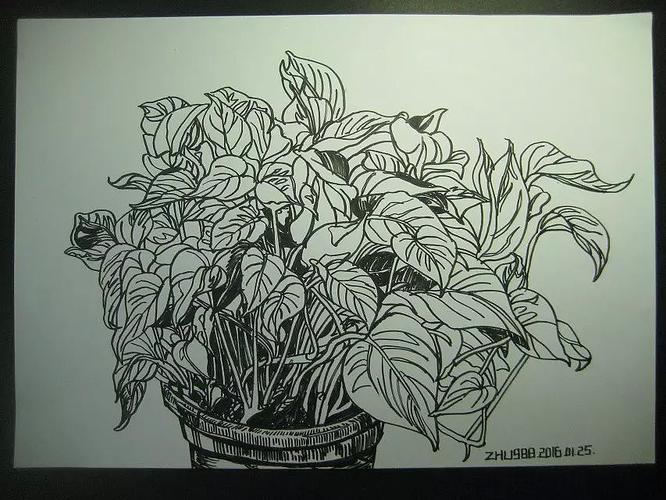 《只有绿萝》三|纯艺术|绘画|zhl1988 - 原创作品