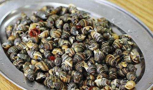 这款海鲜馋不得!舟山严查织纹螺销售