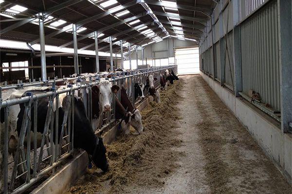 牛棚气体管理系统|智能网|路由器|iot|物联网|饲养场