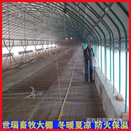 养羊大棚安装 承接养羊大棚工程 养鸡大棚建设