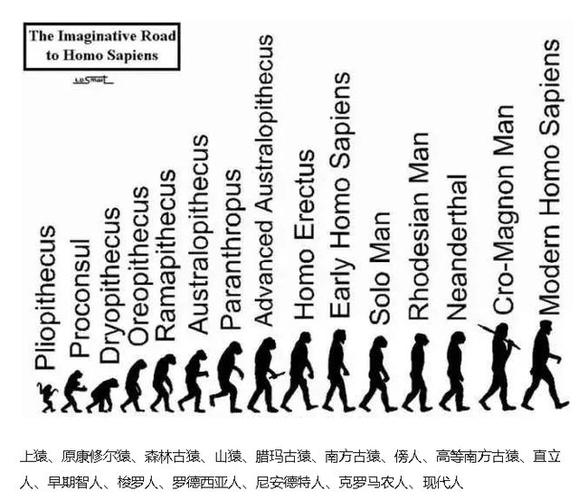 "人类进化图"是个大骗局?出版商为了省事,误导观众好多年!