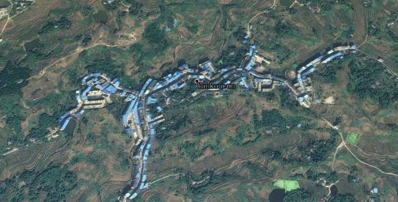 宣汉县内有多个以植物,树木命名的乡镇,如芭蕉镇,漆树乡等.