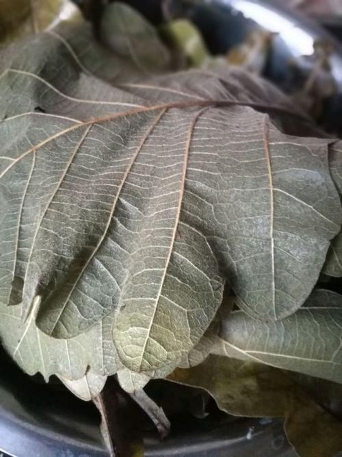 柞树叶粽子(2/9)