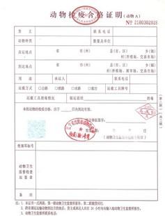 沈阳至全国宠物托运 随机检疫证明专拍 公司运营-必须保真