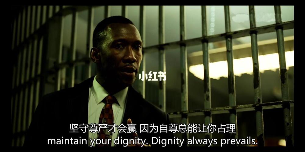 【电影截图分享】绿皮书_绿皮书影评_戏剧_电影截图_影视_电影(图文)