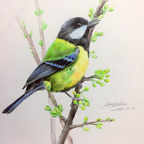 画了一张鸟,觉得还可以[z我赞]