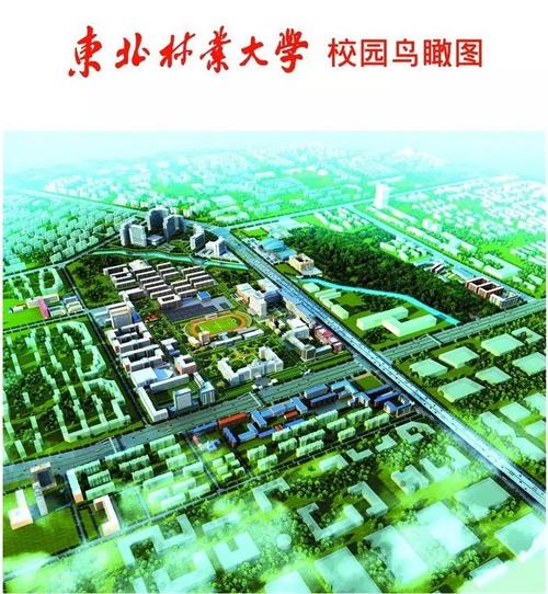高校基建 | 东北林业大学校园建筑美景袭来,超享受