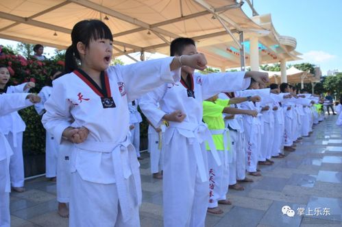 天天跆拳道户外活动课,吼吼哈嘿!强健体魄,抖擞精神