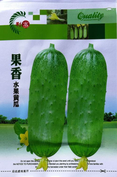 迷你水果黄瓜种子 荷兰小黄瓜四季播节节瓜种籽农家阳台盆栽蔬菜