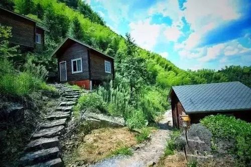 县双峰乡 预定电话:18257955008(636008) 地址:磐安县仁川镇方山村