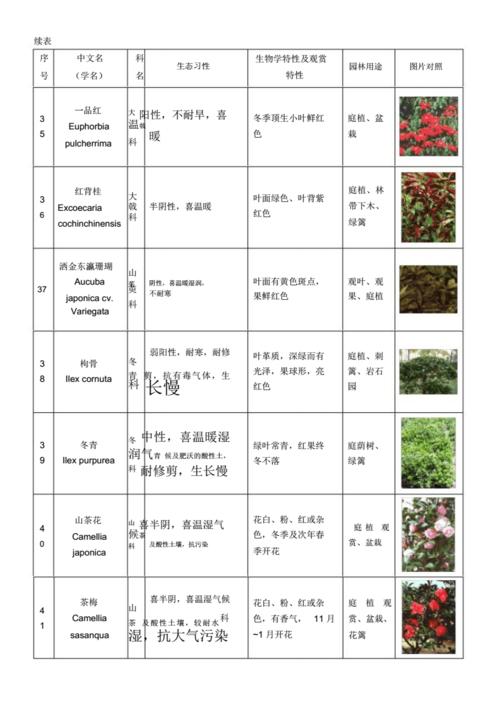 植物表格图对照.docx 42页