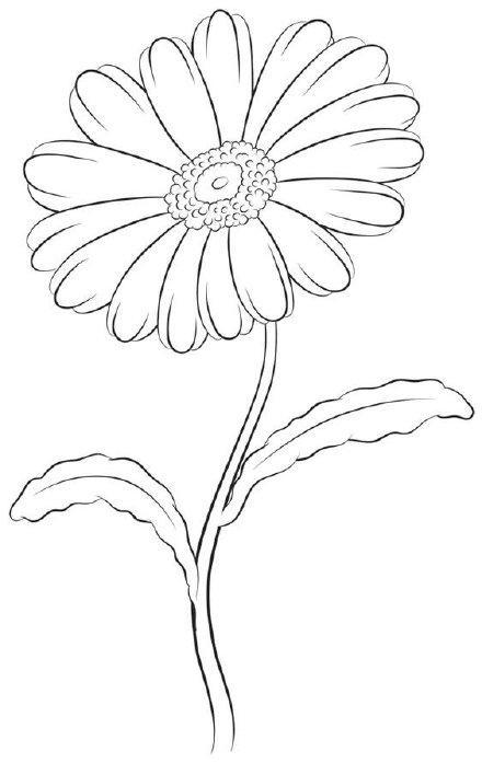 如果你喜欢绣花草这100张花草类刺绣线稿图一定要收藏好了