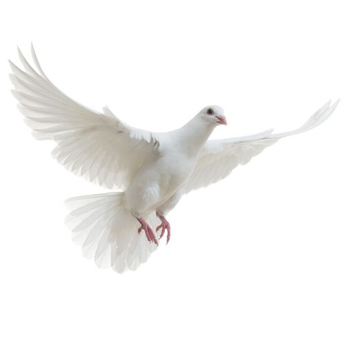photoshop打造夏日带给你极度清爽的啤酒海报_教程