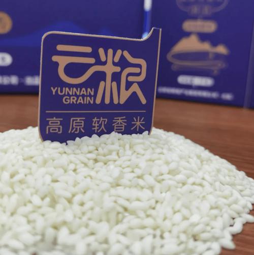 "云粮"品牌 | "洱海留香"高原软香米