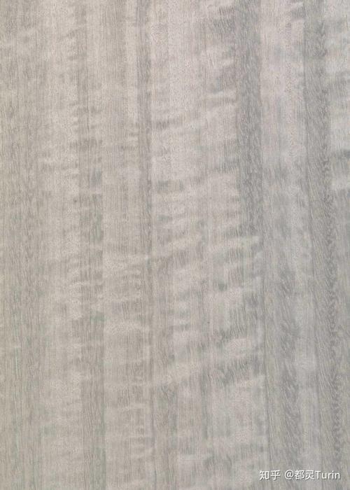 尤加利染色木皮