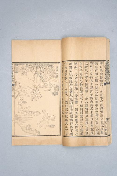 《武英殿聚珍版程式》