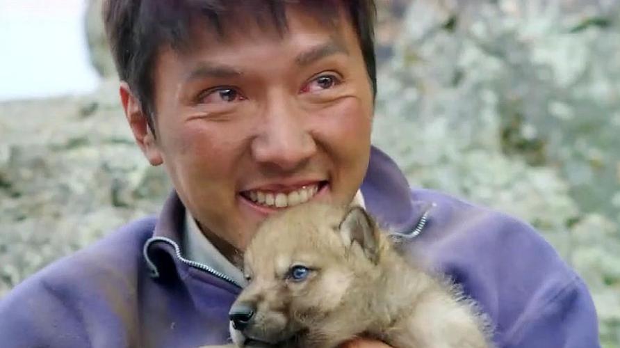 狼图腾:冯绍峰倾情主演,演技超级在线,这绝对是演技巅峰!