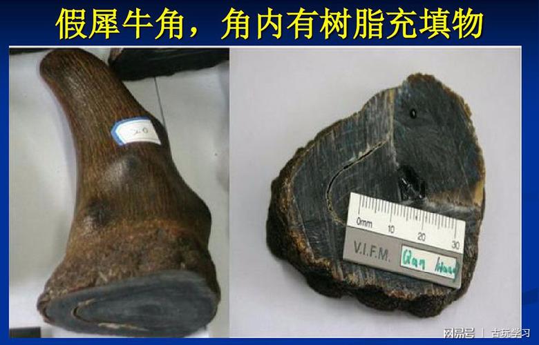 鉴别犀牛角藏品真假,看这篇文章就够了