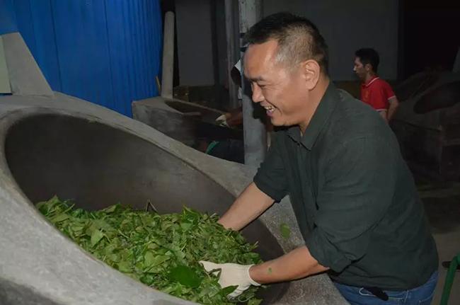 佰年寻味—茶山行