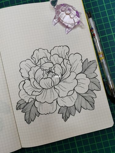 120|线描画|牡丹花_手绘_针管