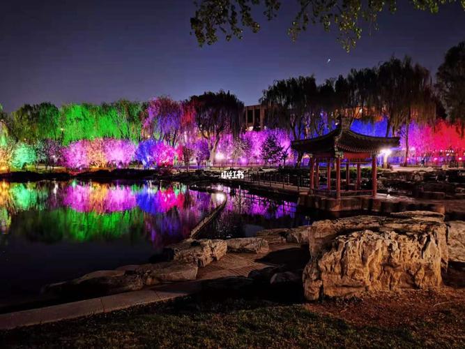 北京约拍|陶然亭公园海棠花季夜景(4.4)_海棠花_约拍