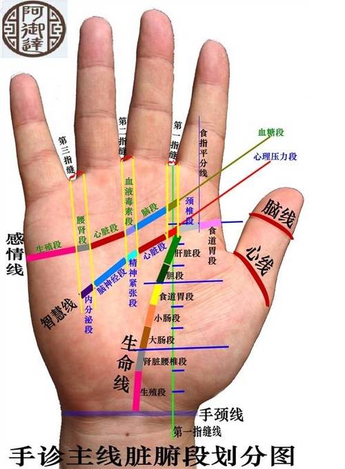 手诊数字神断讲解-在线订票-互动吧