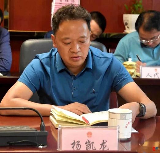 县委常委,常务副县长  杨凯龙