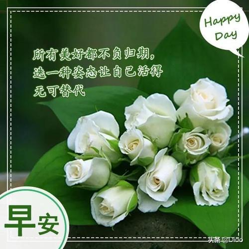 2021周末清晨问候语给朋友的周末愉快的句子