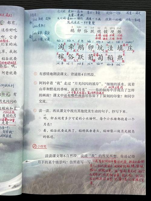 小学语文四年级上册第2课走月亮课文笔记学习指导